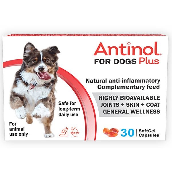 Antinol Plus pentru CAINI, 30 capsule