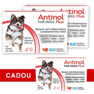 Pachet 2 Cutii Antinol Plus pentru CAINI, 60 capsule +  CADOU 1 Cutie Antinol Plus 30 capsule