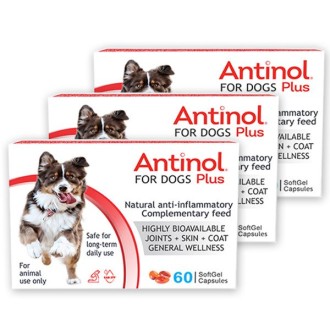 Pachet 3 cutii Antinol Plus pentru CAINI, 60 capsule